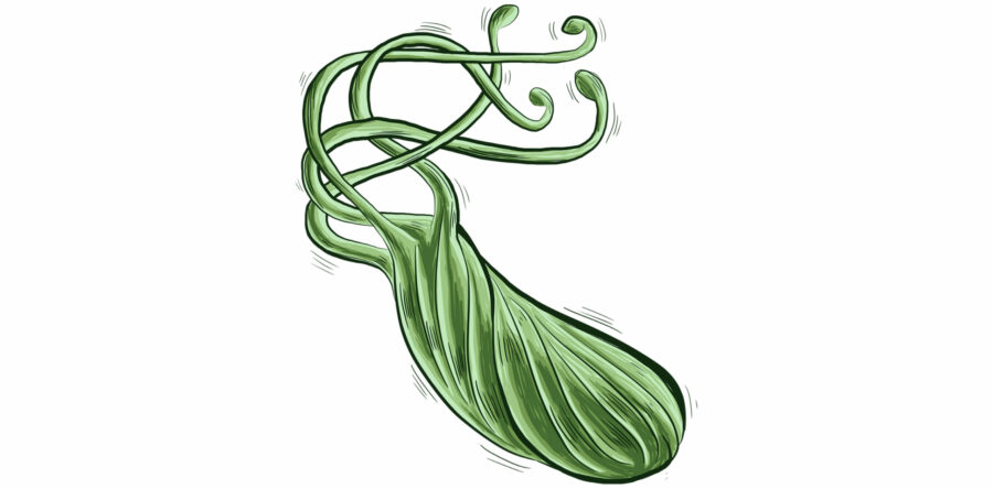 Проактивни стъпки за превенция на H. pylori: Опазване на здравето на стомашно-чревния тракт